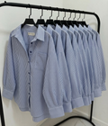 Blue Lining Button Down Shirt